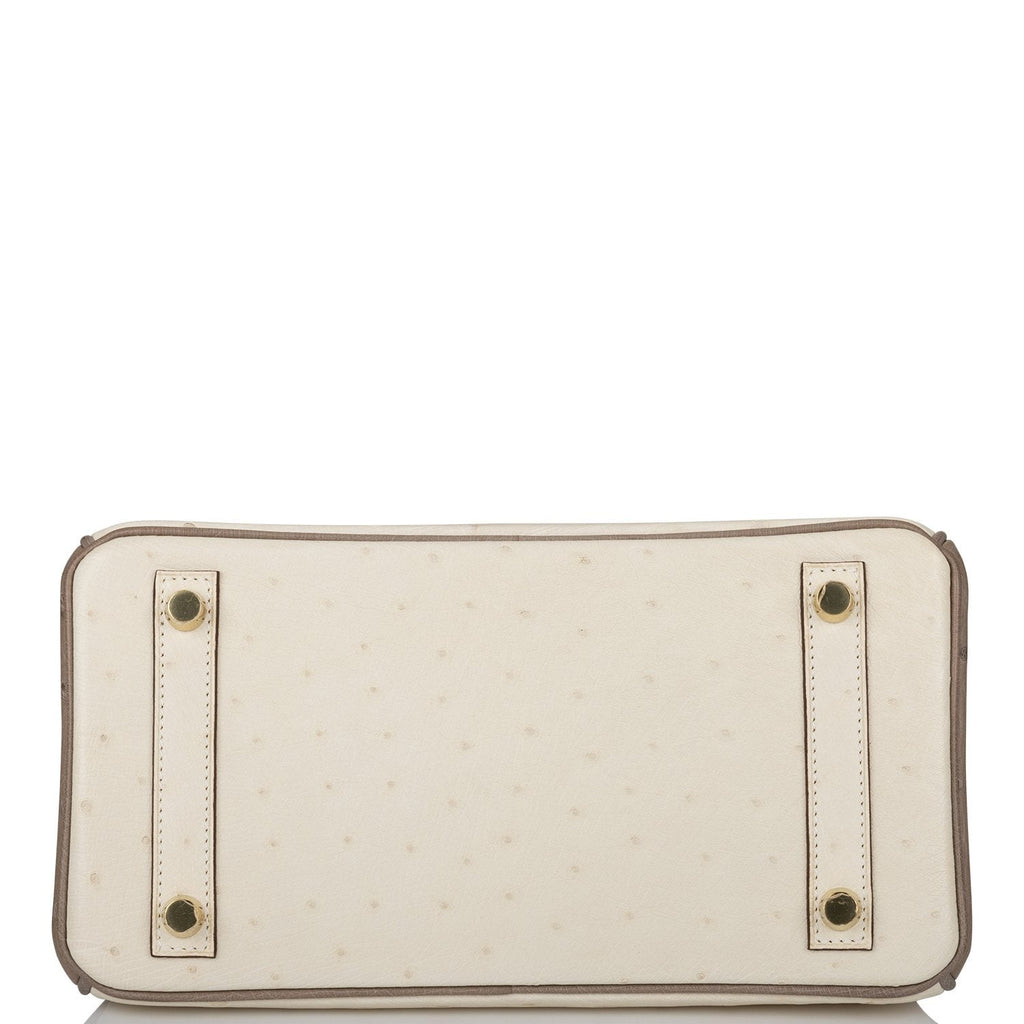 Hermes Special Order (HSS) Birkin 25 Beton and Gris Asphalte Ostrich Brushed Gold Hardware