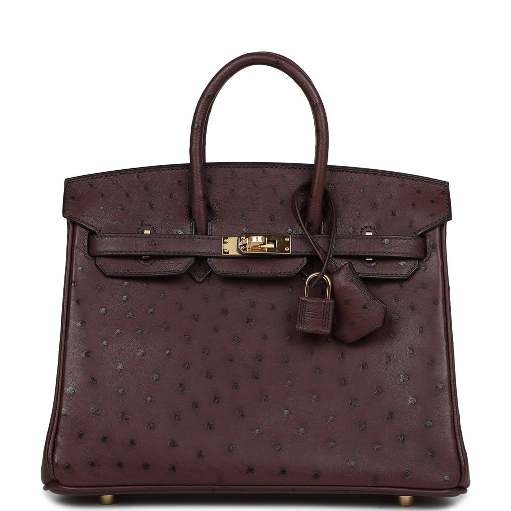 Hermes Birkin 25 Rouge Sellier Ostrich Gold Hardware