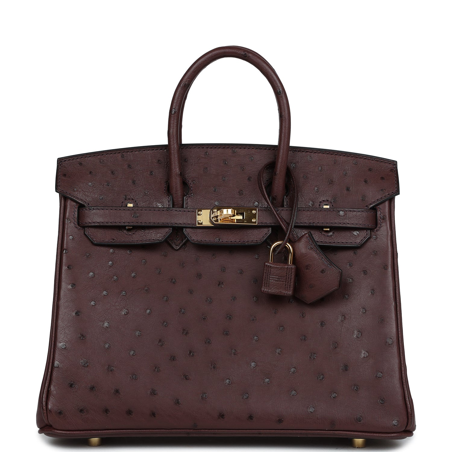 Hermes Birkin 25 Rouge Sellier Ostrich Gold Hardware