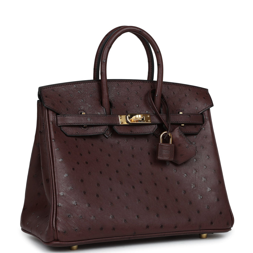 Hermes Birkin 25 Rouge Sellier Ostrich Gold Hardware