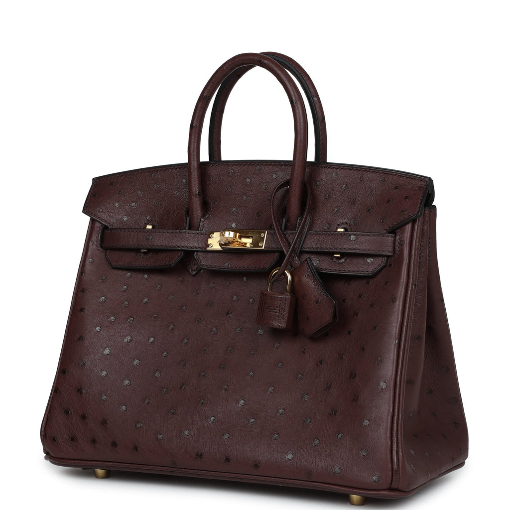 Hermes Birkin 25 Rouge Sellier Ostrich Gold Hardware