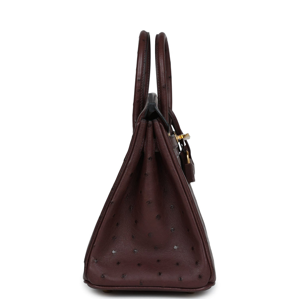 Hermes Birkin 25 Rouge Sellier Ostrich Gold Hardware