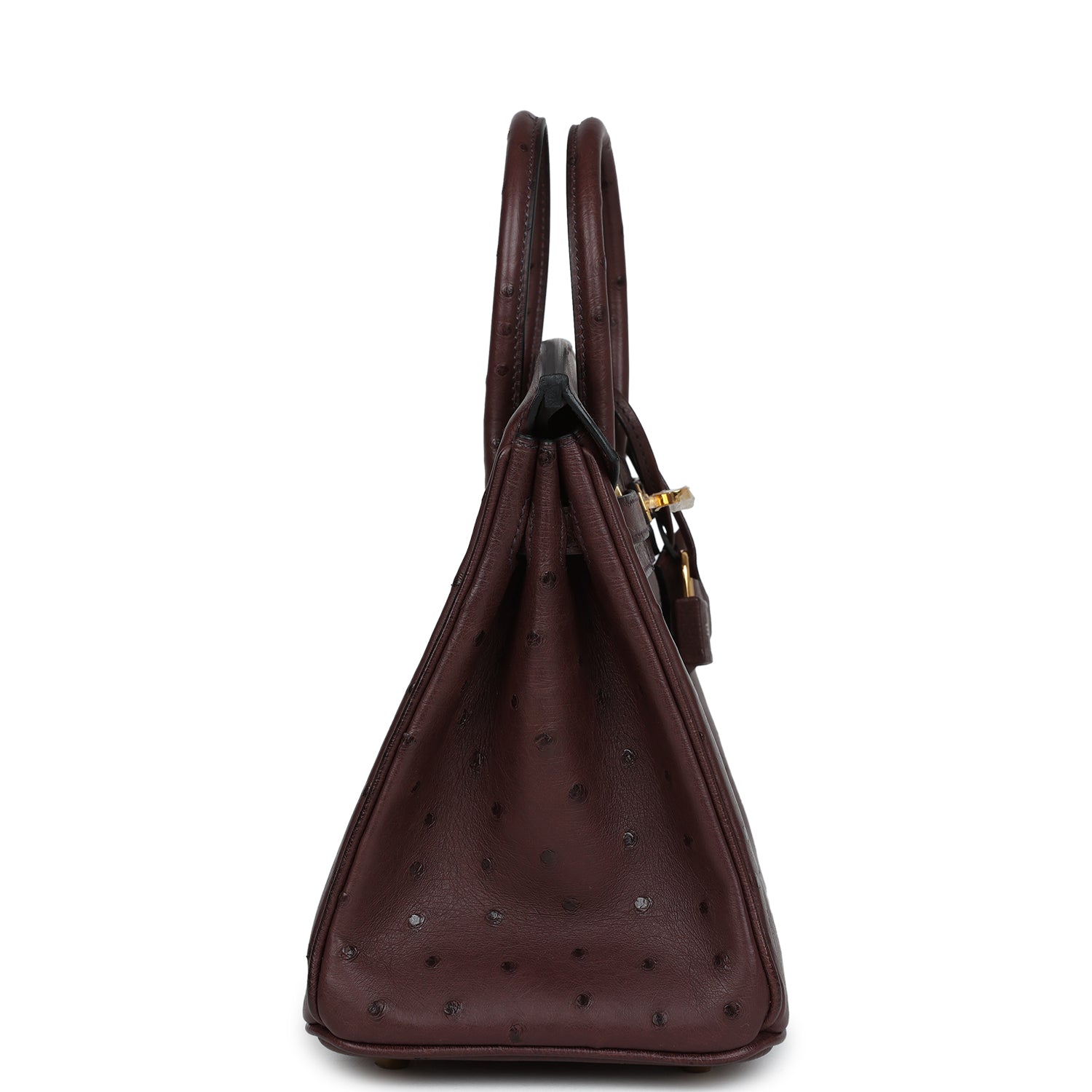 Hermes Birkin 25 Rouge Sellier Ostrich Gold Hardware