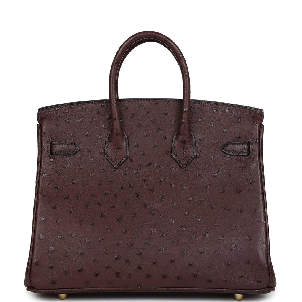 Hermes Birkin 25 Rouge Sellier Ostrich Gold Hardware