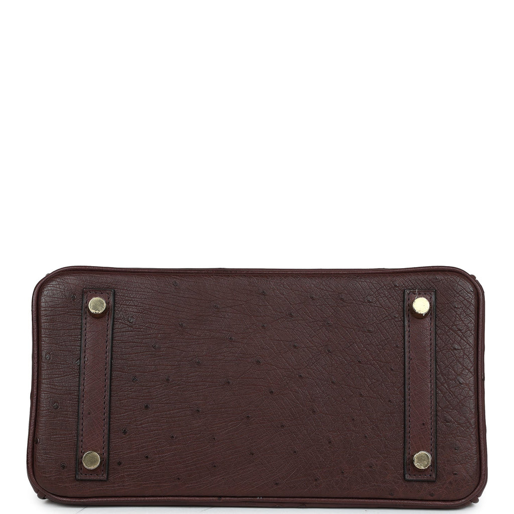 Hermes Birkin 25 Rouge Sellier Ostrich Gold Hardware