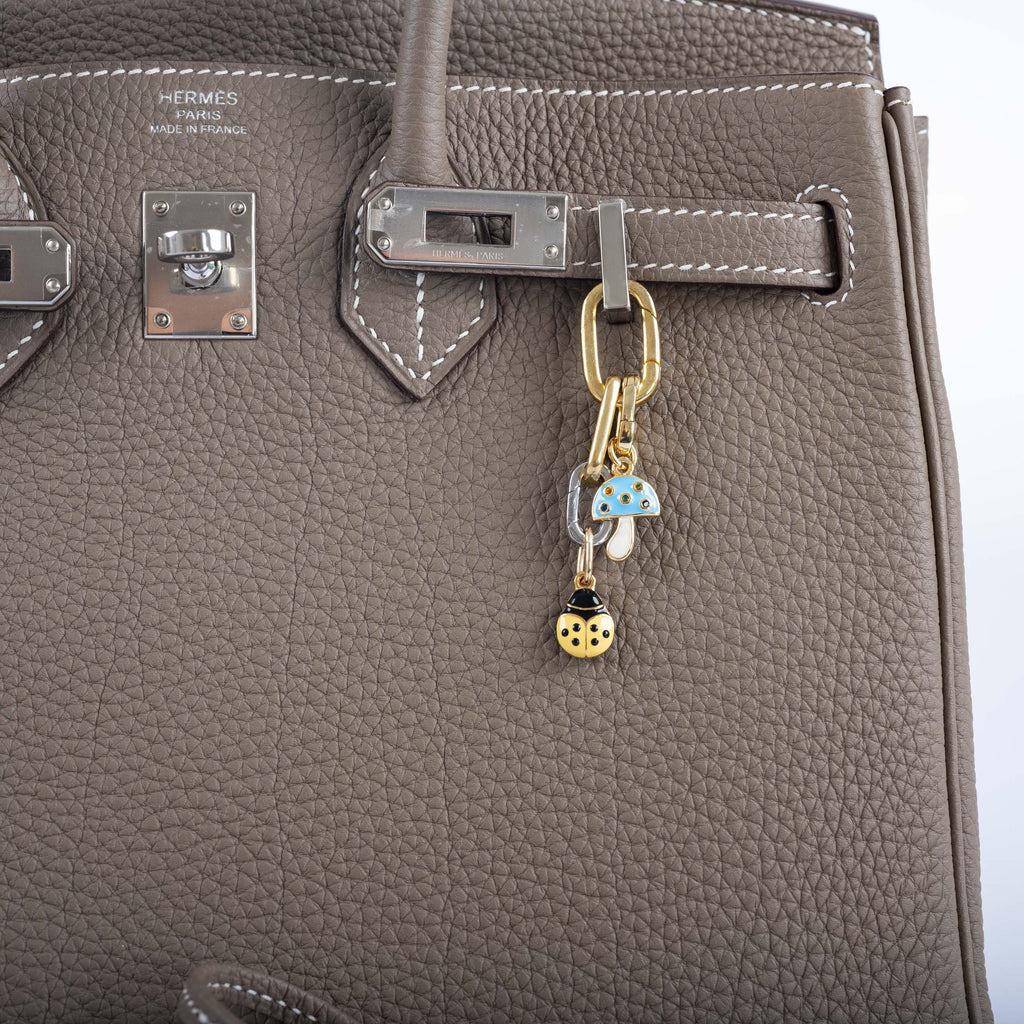 Hermes Birkin 25 Etoupe Togo Palladium Hardware