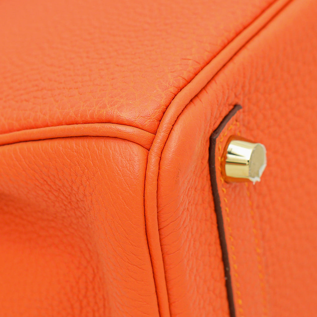 Hermes Feu Retourne Birkin 25 Bag