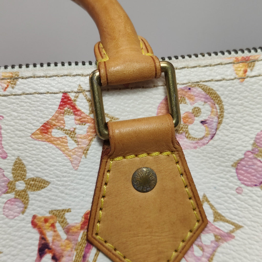 Louis Vuitton Speedy 30 Monogram Watercolor Pink Handbag Richard Prince 2008