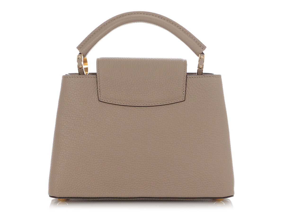 Louis Vuitton Galet Taurillon Capucines PM