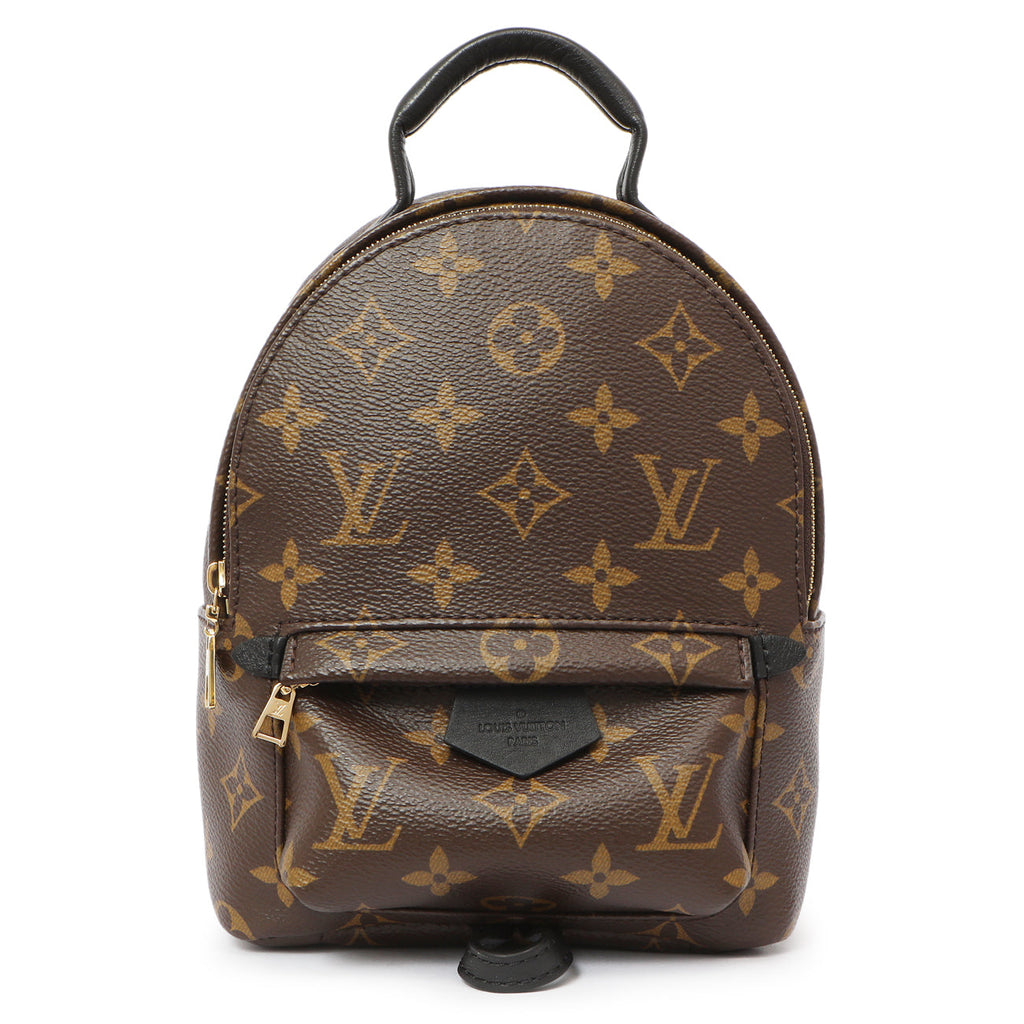 Louis Vuitton Monogram Palm Springs Backpack Mini