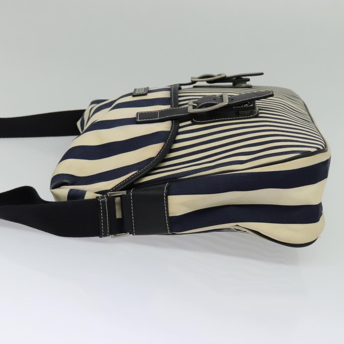 BURBERRY Blue Label Shoulder Bag Canvas White Silver BA2127