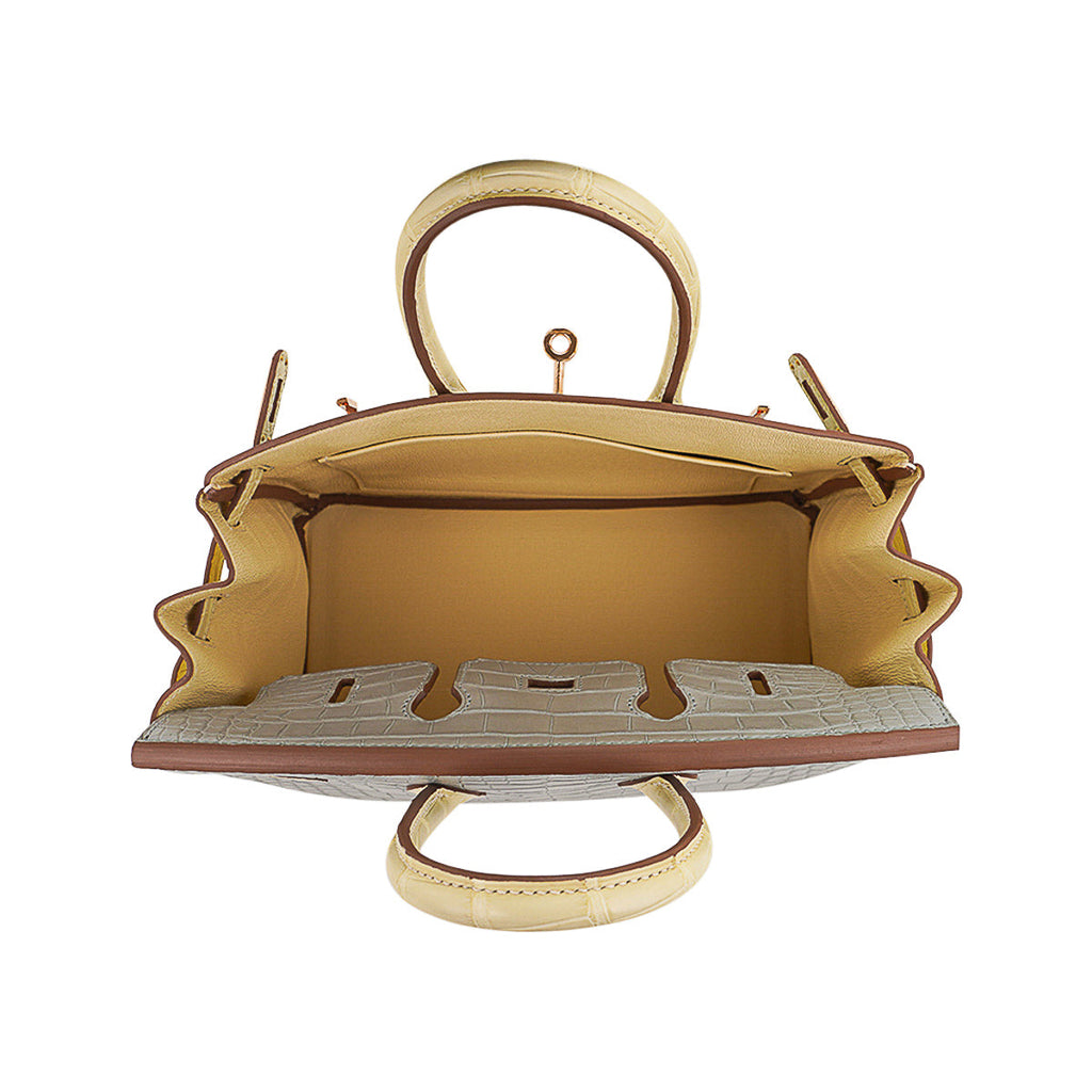 Hermes Special Order HSS Birkin 25 Bag Gris Perle & Vanille Matte Alligator with Rose Gold Hardware