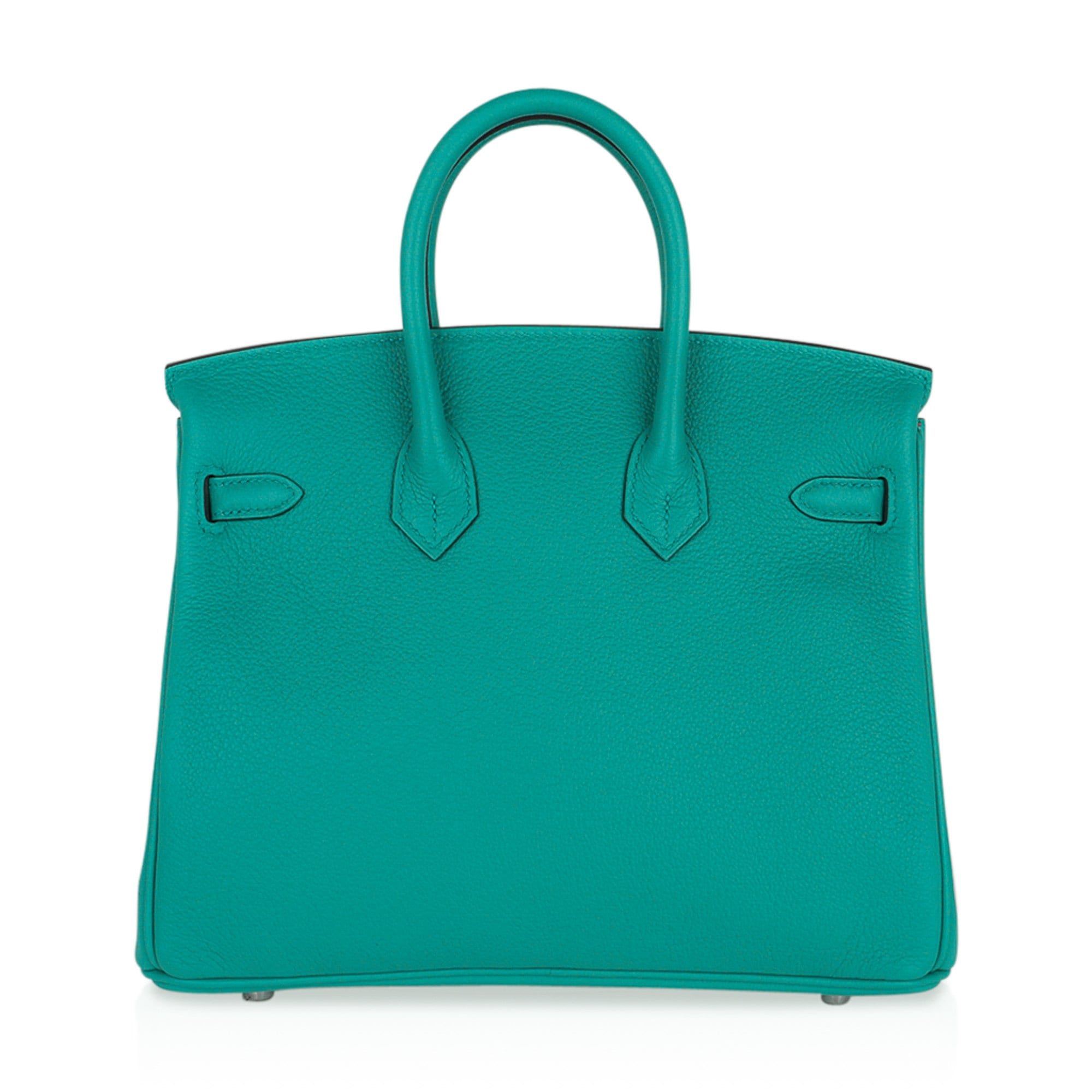 Hermes Verso Birkin 25 Bag Vert Verone & Rose Lipstick Novillo Leather with Palladium Hardware