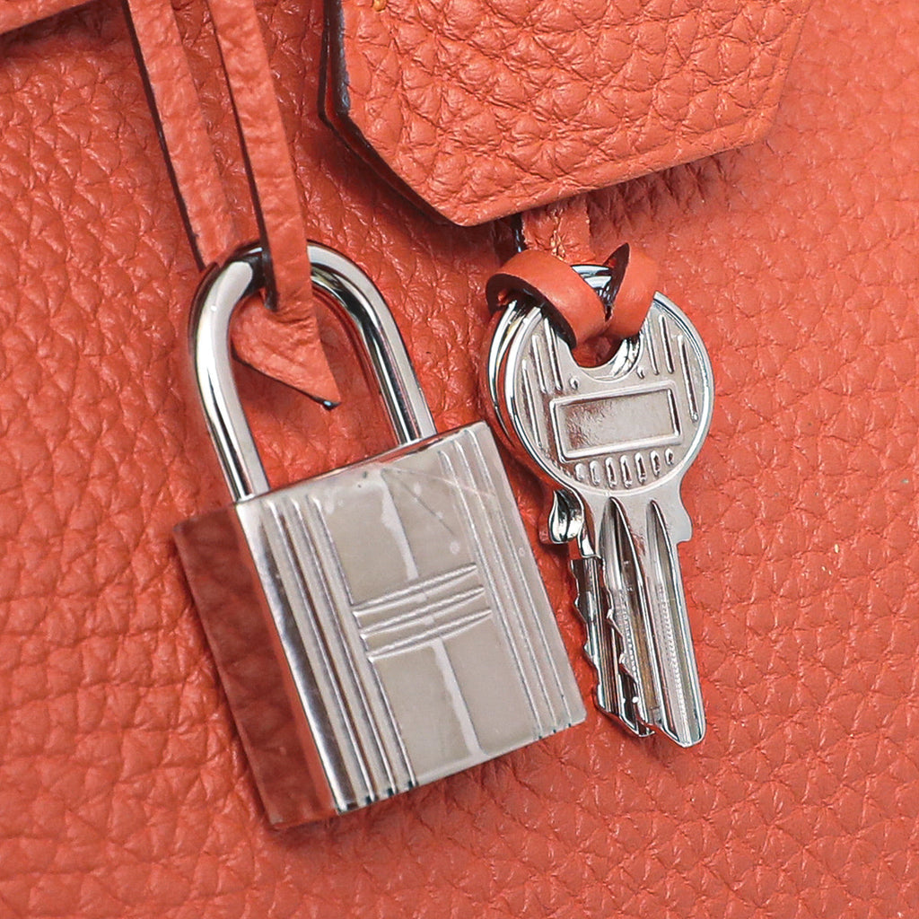 Hermes Feu Birkin 25