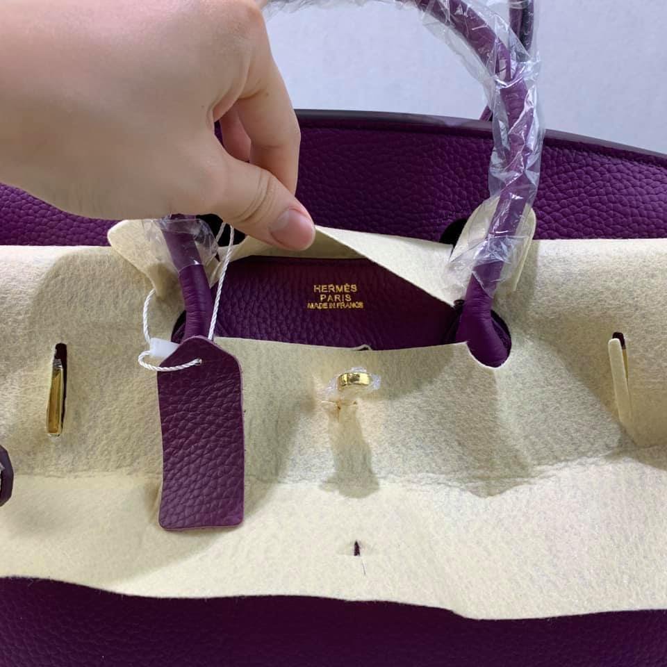 Hermes Birkin Bag 25