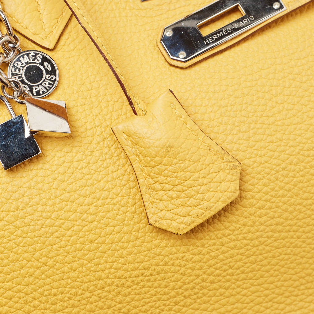 HERMES Soleil Togo Leather Palladium Finish Birkin 35 Bag