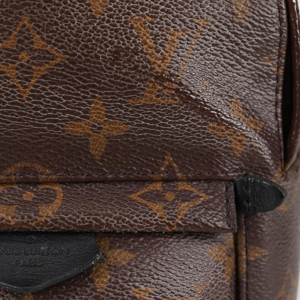 LOUIS VUITTON Monogram Palm Springs MINI Backpack M44873 LV yk19084